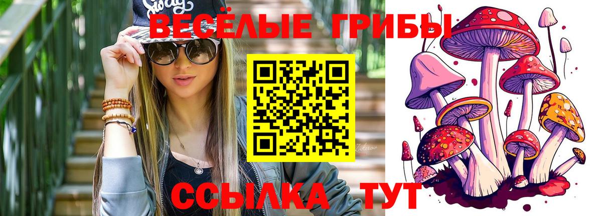 Галлюциногенные грибы Psilocybine cubensis Ухта